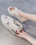 Wedge Heel Fashion Sandals Women 2022 Summer New  High Heeled Velcro Fairy Wind Open Toe Comfortable Womens Shoes