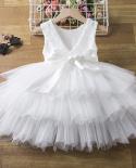 18m Baby Girl Party Dress Kid Embroidey Flower 1 Yearbirthday Tulle Gown Newborn Baptism Bowknot Puffy Clothes Christmas