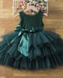 18m Baby Girl Party Dress Kid Embroidey Flower 1 Yearbirthday Tulle Gown Newborn Baptism Bowknot Puffy Clothes Christmas