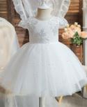 Girls Lace Christening Gown Flower Wedding Princess Party Dresses For 0 2 Year Elegant Baby Birthday Ceremony Costume Tu