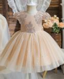 Niñas encaje vestido de bautizo flor boda princesa vestidos de fiesta para 0 2 años elegante bebé cumpleaños ceremonia disfraz T