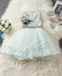 Flower Kids Wedding Party Dress Baby Girl Baptism Lace Ristending Gown For 24m Children Birthday Evening Prom Tulle Tutu
