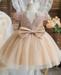Baby Girl Flower Dress Princess Party Costume 0 2 Years Toddler Kid Christening Clothes Christmas For Newborn Baby Elega