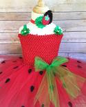 Baby Girls Strawberry Costume For Kids Birthday Party Tutu Dress Halloween Outfit Toddler Girl Fruit Clothes Newborn Pho
