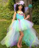 Flower Girl Fairy Dresses For Kids Wedding Party Costume Girls High Low Tutu Dress With Wings Trail Princess Fancy Ball 