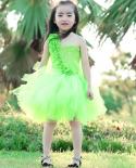 Green Fairy Princess Dresses For Girls Carnival Birthday Costumes For Kids Flower Elf Tutu Dress Outfit With Wings Fancy