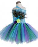 Flower Peacock Tutu Dress For Girls Pageant Halloween Costumes Kids Girl Princess Fancy Party Dresses With Feather Headb