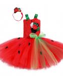 Toddler Baby Girls Strawberry Tutu Dress Kids Halloween Costume Christmas Outfits For Girls Birthday Gifts Dresses With 