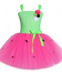 Sweet Strawberry Dress Girl Toddler Princess Dresses Watermelon Cute Costume For Girls Kids Birthday Party Tutus Clothes