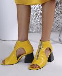 2023 New Fashion Womans Sandals Peep Toe 75cm High Heels Shoes For Woman Classics Square Heel Casual Shoes Zipper Big 