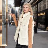 2023 New Autum Down Cotton Vest Women Loose Sleeveless Coats Jackets Winter Female Solid Stand Collar Thickening Warm Ve