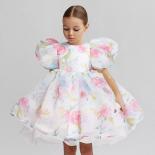 Child Evening Flower Pageant Vestidos Girls Princess Dress Lace Tulle Wedding Party Formal Bridesmaid Tutu Fluffy Prom G