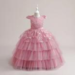 Luxury Girls 2023 New Dress Embroidered Mesh Cake Fluffy Long Dress Flower Children Wedding Dress Bean Paste Powder 14 Y