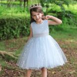 Dress  Girls Party Dresses  Princess Christmas Party Communion Fluffy Embroidered  