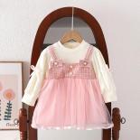 New Girls' Dress 2023 Autumn Long Sleeve  Sweet Little Girl Birthday Party Dress Children's Mesh Casual Clothing