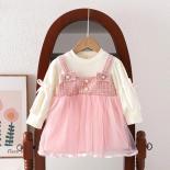 New Girls' Dress 2023 Autumn Long Sleeve  Sweet Little Girl Birthday Party Dress Children's Mesh Casual Clothing