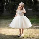 Summer Girl Dress Birthday Party Princess Solid Beading Children Gown Flower Kids Wedding Tutu Fluffy Clothes Evening Ve