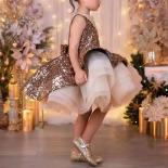 Vestido de noche de lujo y elegante para banquete de celebridades, vestido de actuación de Ballet de Navidad con lentejuelas par