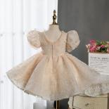 Luxury And Westernized Girl Dress Flower Girl Wedding Dress Little Girl Birthday Party Model Show Fluffy And Gorgeous Cl