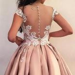 Pink Illusion Irregular Homecoming Gowns Short Sleeve Pleated Evening Party Dresses Appliques 2023 Button Knee Length Pr