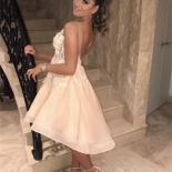 Fortunate Pink V Neck Tulle Wedding Party Gowns Lace Backless Sleeveless Mini Zipper  Appliques Short Homecoming Gowns 2