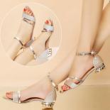 Ladies Shoes 2023 Summer Thick Heel Women's Sandals Fashion Open Toe Low Heels Classic Buckle Strap Design Women Sandals