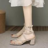 Women's Block Heel Shoes 2023 Summer Vintage Open Toe Women's Chunky Heel Sandals Pointed Toe Dress Office Ladies Heels 