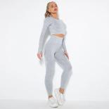 Seamless Washed Yoga Set Sports Fitness Workout High Waist Peach Hip Lifting Pants Long Sleeved Suits Gym Leggings Set F
