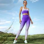 Seamless Sports Set Women  Set Sport Women Fitness  Yoga Suit Set Legging  Sets  