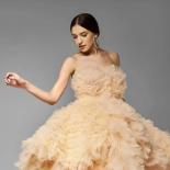 Chic Tiered Tulle Formal Dress Champagne Ruffled Mesh High Low Prom Party Dresses 2023 New Evening Dresses Vestidos De F