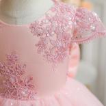 Vestido De Cumpleaños Niña De 12 Años Vestidos De Cumpleaños Para Niña De 12 Meses Niña Pequeña Rosa