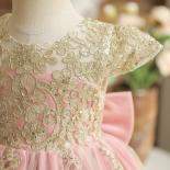 Embroidery Vintage Girls Party Princess Dress For 1 5 Yrs Kids Backless Bow Birthday Baptism Lace Gown Child Ceremony Pr