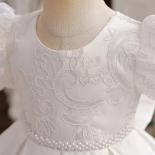 Embroidery Birthday Lace Dress For Girl Flower Elegant Kids Princess Party Dresses Wedding Prom Gowns 15 Y Baby's Dresse