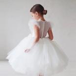 בנות פרח נסיכה פאייטים תחרה שמלת טוטו שמלת תינוק שמלת מסיבת חג המולד לחתונה ילדים ילדים ווסטידו אלגנטיים לגיל 3 8