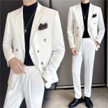 3 Pcs Set Blazers Jacket Pants Vest / 2023 Men's Casual Boutique Business Wedding Pure Color Double Breasted Suit Coat T