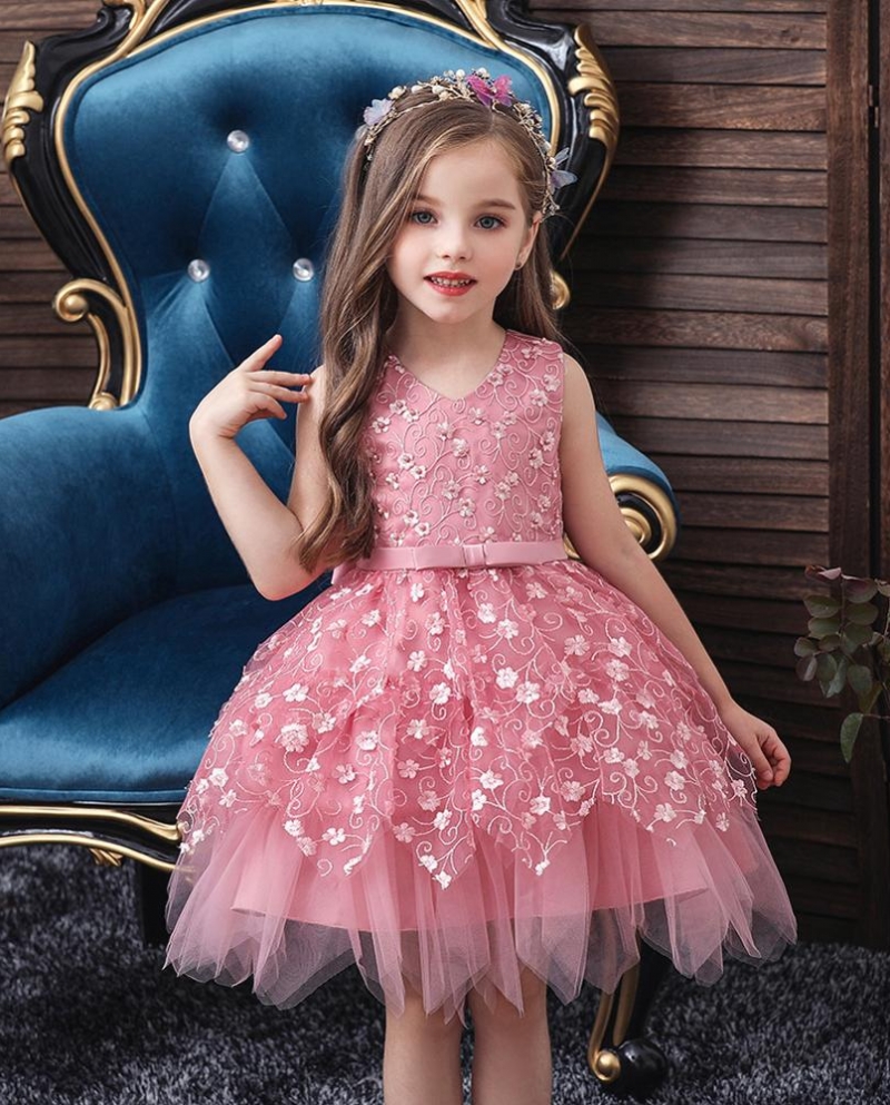  Baby Princess Dress Baby Girl Dress Embroidery Lace Pettiskirt Girl We