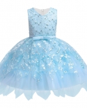  Baby Princess Dress Baby Girl Dress Embroidery Lace Pettiskirt Girl We
