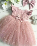 27y Toddler Kids Baby Girl Princess Dress Lace Tulle Wedding Birthday Party Tutu Dress Pageant Children Girls Clothing  