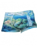 Summer Swimwear Mens Beach Surfing Shorts Quick Dry Breathable Swimming Trunks Nylon Fashion Male Creative Board Swimsui