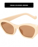 Womens Sunglasses Vintage Cat Eye Sunglasses Designer 2022 Polygon Sunglasses Women Sunglasses Uv400 Men Women Womens 