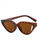 Cat Eye Sunglasses Fashion 2022 Sunglasses Luxury Brand Women Sunglasses Vintage Sunglasses Men Women Oculos De Sol Femi