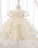 שמלת ילדה בת שנה תינוק עגול צווארון שמלת ילדה שנה תינוק חצאית טוטו בת שנה שמלת נסיכה לילדים שמלת אחת