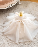 بيبيز جيرل فستان الأميرة منفوش شاش للأطفال