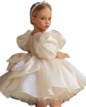 Childrens Dress Flower Girl Dress Fluffy Wedding Dress Catwalk Birthday Princess Dress