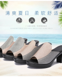 Zapatos Slipper Summer Shoes For Women  Fashion Open Toe Heels Casual Non Slip Woman Slippers Leisure Ladies Shoes Pantu