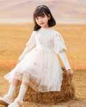 فستان بناتي للخريف والشتاء بأكمام فانوس جديدة محبوكة بشبكة بيضاء مخيطة بالنجوم تنورة أميرة