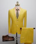 Tian Qiong  Yellow Stripes Suit Men Business Normal Tuxedos 2 Pieces Suits Host Stages Men Suits  Jacketpant  S 2xlsu